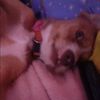 betty23r4e