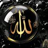 قران 🌷الكريم #