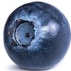 berry65224