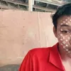 alputraav2