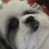 ajmlnz