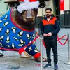 rupindersingh2545