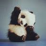 pandalove606