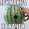 hggddss5