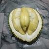 sahdurian