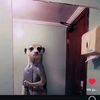 erenatox_