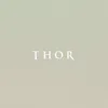thor6251816
