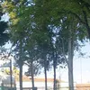 lilica.linda7