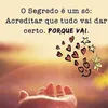 elainecardoso031