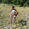 sergflow5