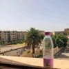 ahlemahlem63