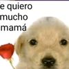 a_nachopop_no