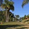 crissanntos25