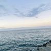 sof_m20n