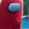 pollito099