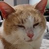 panarabbit1312