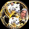 camiolo.dany