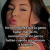 shadrn_k