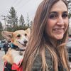chaosandcorgis0