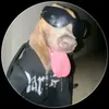 lucasmoreiradebarros