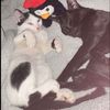 kittyboystbp