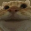 pjbass.1