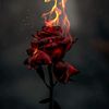 dan.nyflores