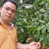 quangthuy.trangiafarm