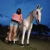 pilyangpenggay