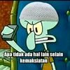 kimak.ofc