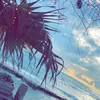 maysraad3