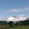 muhammad_ilham427