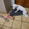 tobby_3ans