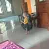 rahel.alsa2