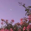 _.aesthetic._goodvibes