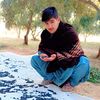 basheer.k0912