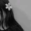 horia_muhamed