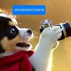 vagabundosinfin