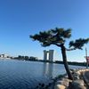viet_han_