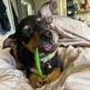 snackswithsnoop