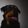 mythorandme