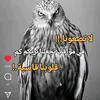 yaser_el_deleme45