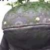 fakyoo72