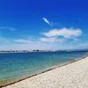 chiaratauri