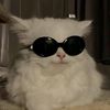 cool_1_omg_lebanon
