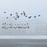 a.moafa