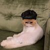 ummehani.leoiscute