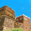 طارق عسيري