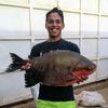 hend135
