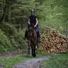 equestrian_groupp1